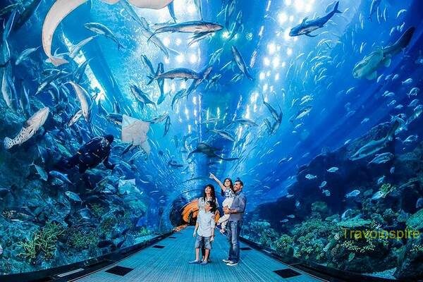 Dubai-Aquarium-05.jpg